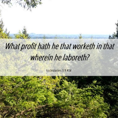Picture 06 - Ecclesiastes 3:9 ASV - What profit hath he that worketh in that wherein - Bible Verse Picture