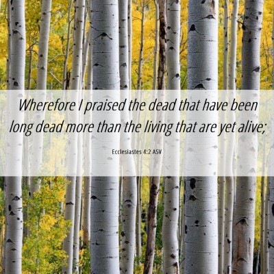 Picture 06 - Ecclesiastes 4:2 ASV - Wherefore I praised the dead that have been long - Bible Verse Picture