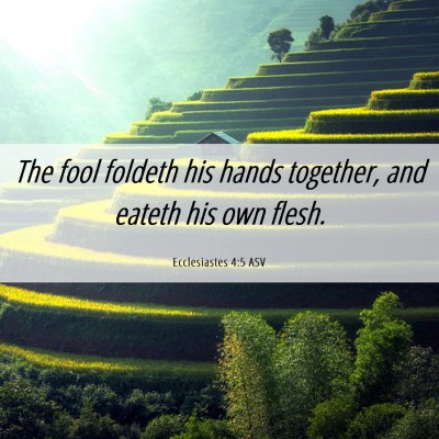 Picture 06 - Ecclesiastes 4:5 ASV - The fool foldeth his hands together, and eateth - Bible Verse Picture