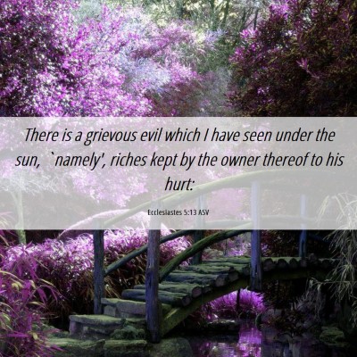 Picture 06 - Ecclesiastes 5:13 ASV - There is a grievous evil which I have seen under - Bible Verse Picture