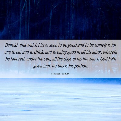 Picture 06 - Ecclesiastes 5:18 ASV - Behold, that which I have seen to be good and to - Bible Verse Picture