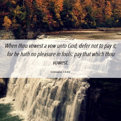 Picture 06 - Ecclesiastes 5:4 ASV - When thou vowest a vow unto God, defer not to pay - Bible Verse Picture