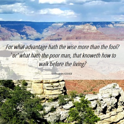 Picture 06 - Ecclesiastes 6:8 ASV - For what advantage hath the wise more than the - Bible Verse Picture