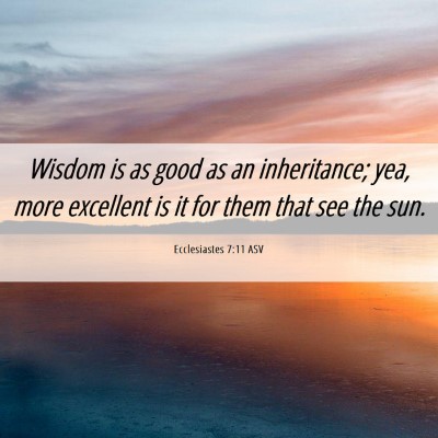 Picture 06 - Ecclesiastes 7:11 ASV - Wisdom is as good as an inheritance; yea, more - Bible Verse Picture