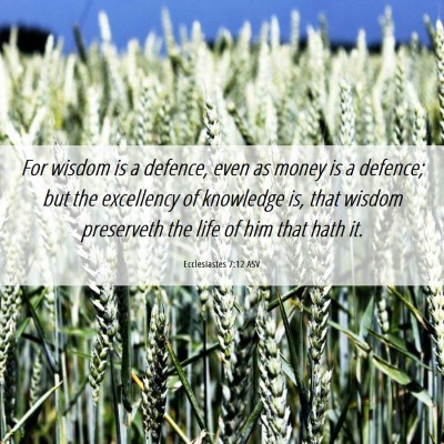 Picture 06 - Ecclesiastes 7:12 ASV - For wisdom is a defence, even as money is a - Bible Verse Picture