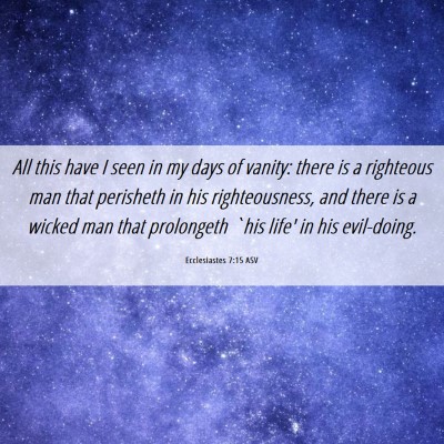 Picture 06 - Ecclesiastes 7:15 ASV - All this have I seen in my days of vanity: there - Bible Verse Picture