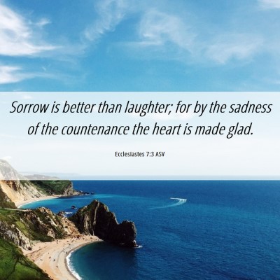 Picture 06 - Ecclesiastes 7:3 ASV - Sorrow is better than laughter; for by the - Bible Verse Picture