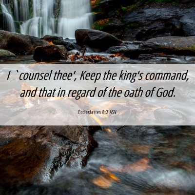 Picture 06 - Ecclesiastes 8:2 ASV - I `counsel thee', Keep the king's command, and - Bible Verse Picture