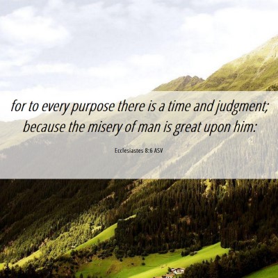 Picture 06 - Ecclesiastes 8:6 ASV - for to every purpose there is a time and - Bible Verse Picture