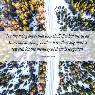 Picture 06 - Ecclesiastes 9:5 ASV - For the living know that they shall die: but the - Bible Verse Picture