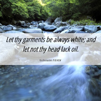 Picture 06 - Ecclesiastes 9:8 ASV - Let thy garments be always white; and let not thy - Bible Verse Picture