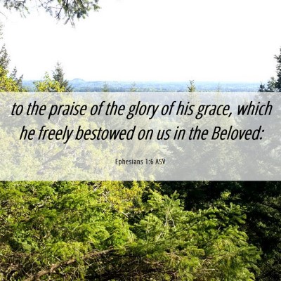 Picture 06 - Ephesians 1:6 ASV - to the praise of the glory of his grace, which he - Bible Verse Picture