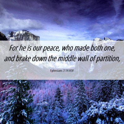 Picture 06 - Ephesians 2:14 ASV - For he is our peace, who made both one, and brake - Bible Verse Picture