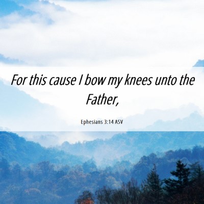 Picture 06 - Ephesians 3:14 ASV - For this cause I bow my knees unto the - Bible Verse Picture