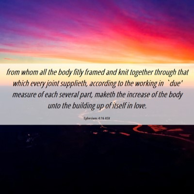 Picture 06 - Ephesians 4:16 ASV - from whom all the body fitly framed and knit - Bible Verse Picture