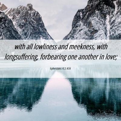 Picture 06 - Ephesians 4:2 ASV - with all lowliness and meekness, with - Bible Verse Picture