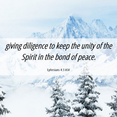 Picture 06 - Ephesians 4:3 ASV - giving diligence to keep the unity of the Spirit - Bible Verse Picture