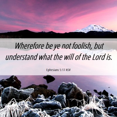 Picture 06 - Ephesians 5:17 ASV - Wherefore be ye not foolish, but understand what - Bible Verse Picture