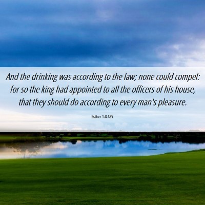 Picture 06 - Esther 1:8 ASV - And the drinking was according to the law; none - Bible Verse Picture