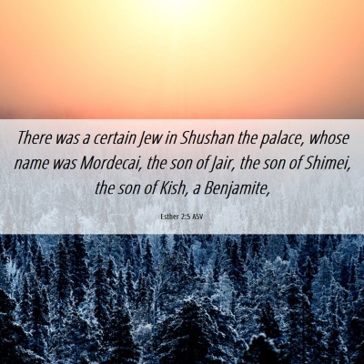 Picture 06 - Esther 2:5 ASV - There was a certain Jew in Shushan the palace, - Bible Verse Picture