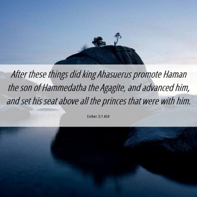 Picture 06 - Esther 3:1 ASV - After these things did king Ahasuerus promote - Bible Verse Picture