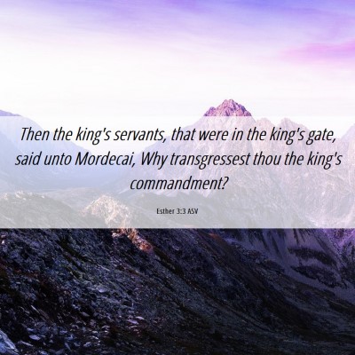 Picture 06 - Esther 3:3 ASV - Then the king's servants, that were in the king's - Bible Verse Picture