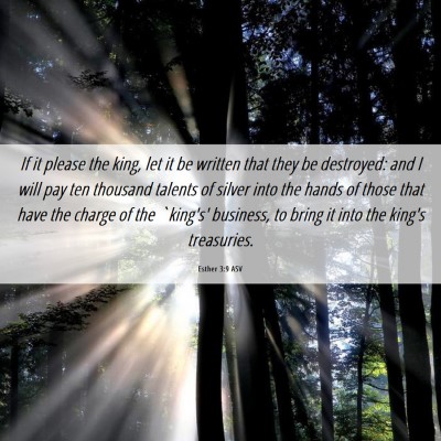 Picture 06 - Esther 3:9 ASV - If it please the king, let it be written that - Bible Verse Picture