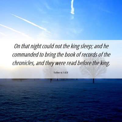 Picture 06 - Esther 6:1 ASV - On that night could not the king sleep; and he - Bible Verse Picture