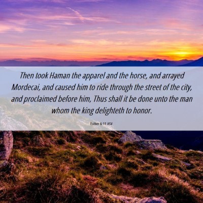 Picture 06 - Esther 6:11 ASV - Then took Haman the apparel and the horse, and - Bible Verse Picture