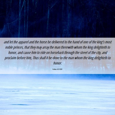 Picture 06 - Esther 6:9 ASV - and let the apparel and the horse be delivered to - Bible Verse Picture
