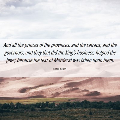 Picture 06 - Esther 9:3 ASV - And all the princes of the provinces, and the - Bible Verse Picture