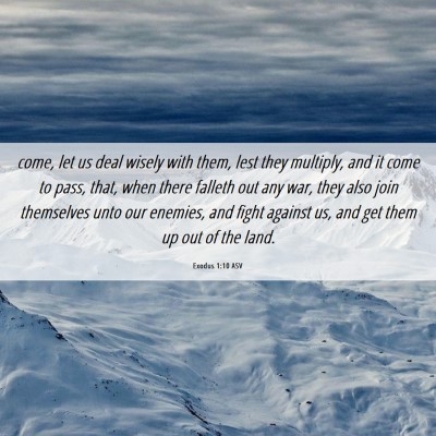 Picture 06 - Exodus 1:10 ASV - come, let us deal wisely with them, lest they - Bible Verse Picture