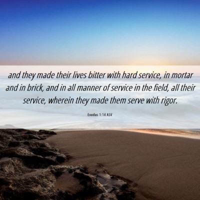 Picture 06 - Exodus 1:14 ASV - and they made their lives bitter with hard - Bible Verse Picture