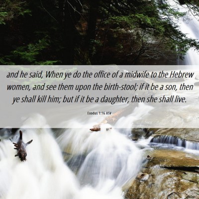 Picture 06 - Exodus 1:16 ASV - and he said, When ye do the office of a midwife - Bible Verse Picture