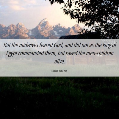 Picture 06 - Exodus 1:17 ASV - But the midwives feared God, and did not as the - Bible Verse Picture