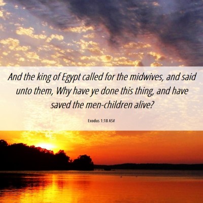 Picture 06 - Exodus 1:18 ASV - And the king of Egypt called for the midwives, - Bible Verse Picture