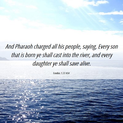 Picture 06 - Exodus 1:22 ASV - And Pharaoh charged all his people, saying, Every - Bible Verse Picture