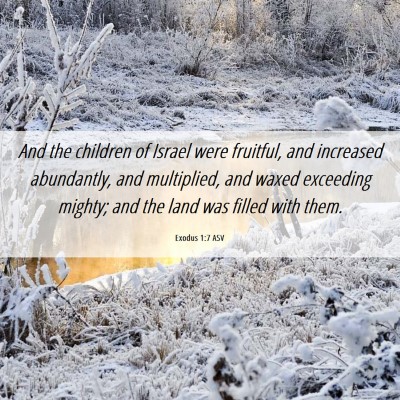 Picture 06 - Exodus 1:7 ASV - And the children of Israel were fruitful, and - Bible Verse Picture
