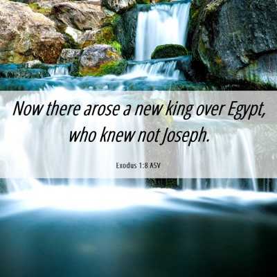 Picture 06 - Exodus 1:8 ASV - Now there arose a new king over Egypt, who knew - Bible Verse Picture