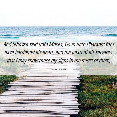 Picture 06 - Exodus 10:1 ASV - And Jehovah said unto Moses, Go in unto Pharaoh: - Bible Verse Picture