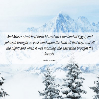 Picture 06 - Exodus 10:13 ASV - And Moses stretched forth his rod over the land - Bible Verse Picture