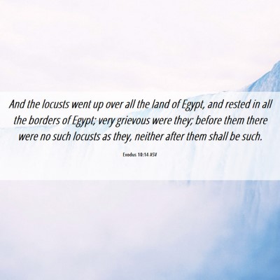 Picture 06 - Exodus 10:14 ASV - And the locusts went up over all the land of - Bible Verse Picture
