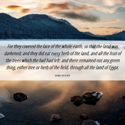 Picture 06 - Exodus 10:15 ASV - For they covered the face of the whole earth, so - Bible Verse Picture