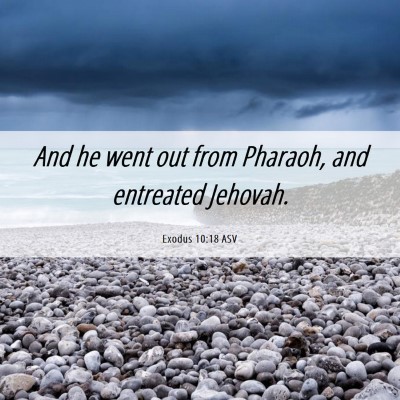 Picture 06 - Exodus 10:18 ASV - And he went out from Pharaoh, and entreated - Bible Verse Picture