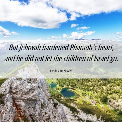 Picture 06 - Exodus 10:20 ASV - But Jehovah hardened Pharaoh's heart, and he did - Bible Verse Picture