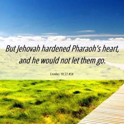 Picture 06 - Exodus 10:27 ASV - But Jehovah hardened Pharaoh's heart, and he - Bible Verse Picture
