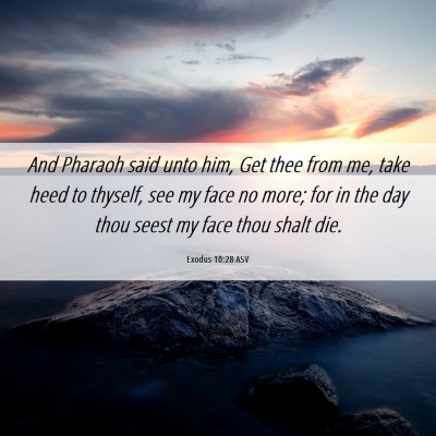 Picture 06 - Exodus 10:28 ASV - And Pharaoh said unto him, Get thee from me, take - Bible Verse Picture