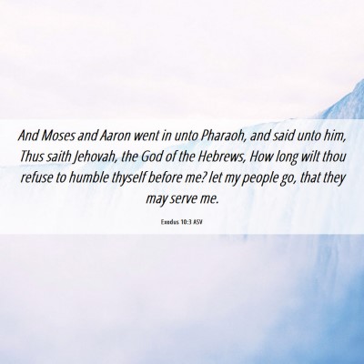 Picture 06 - Exodus 10:3 ASV - And Moses and Aaron went in unto Pharaoh, and - Bible Verse Picture