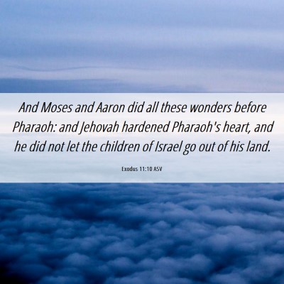 Picture 06 - Exodus 11:10 ASV - And Moses and Aaron did all these wonders before - Bible Verse Picture