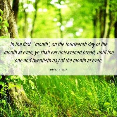 Picture 06 - Exodus 12:18 ASV - In the first `month', on the fourteenth day of - Bible Verse Picture